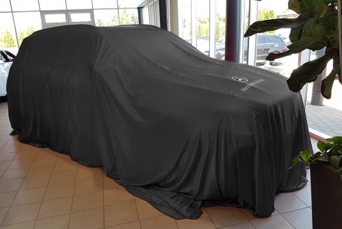 Reveal car cover large with print - black