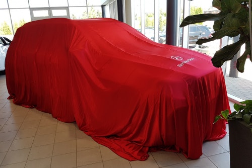 Reveal car cover large with print - red